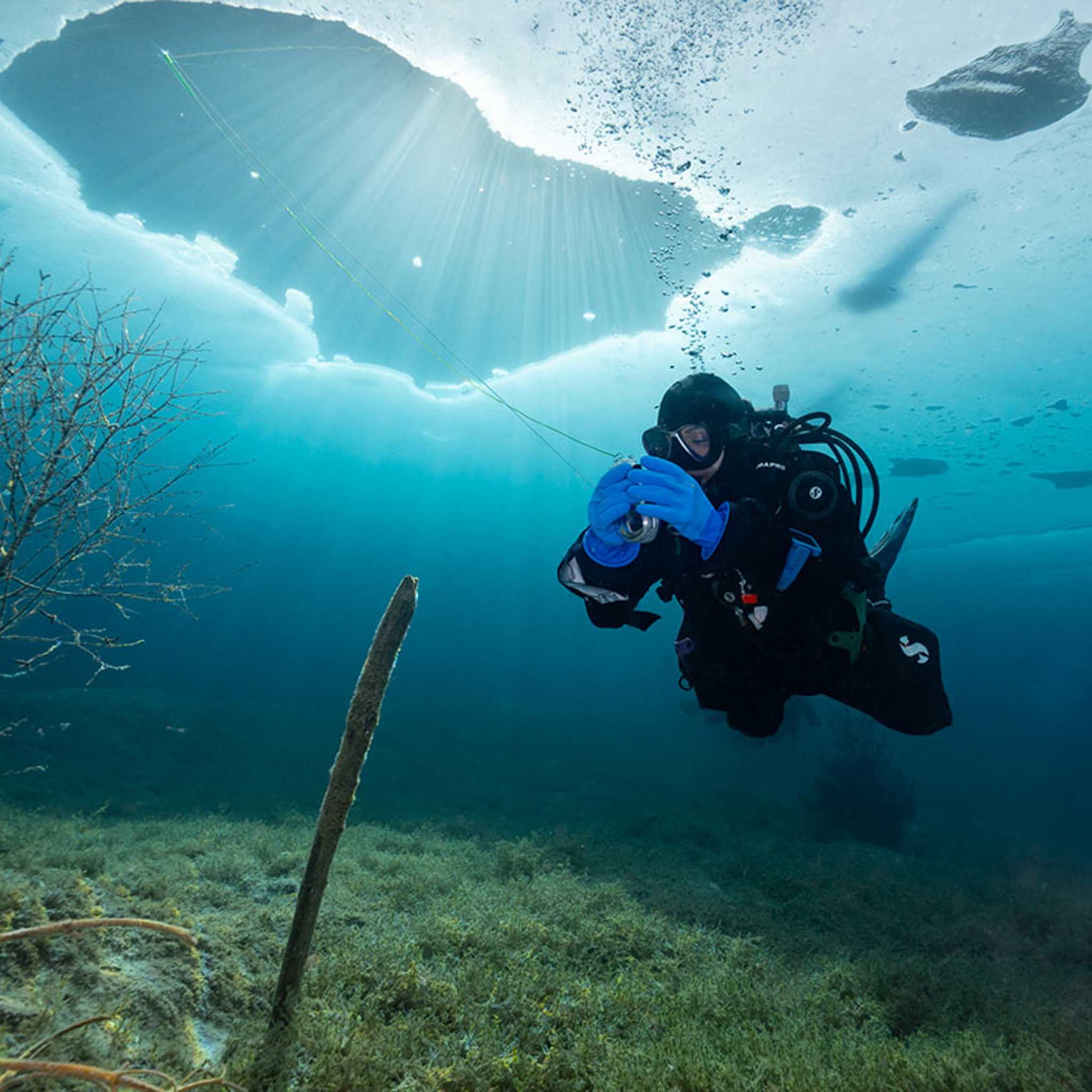 PADI Ice Diver – jääsukelluksen erikoiskurssi