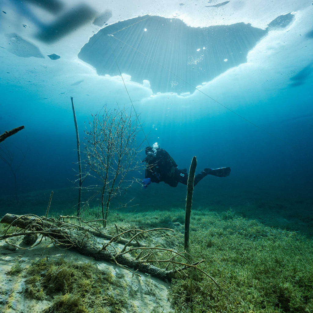 PADI Ice Diver – jääsukelluksen erikoiskurssi