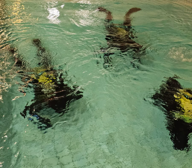 ReActivate Scuba Refresher Program