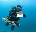 PADI Self-Reliant Diver