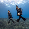 PADI Peak Performance Buoyancy -nosteenhallinta
